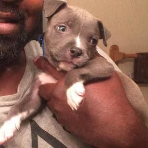 Meet your Posher, Gary